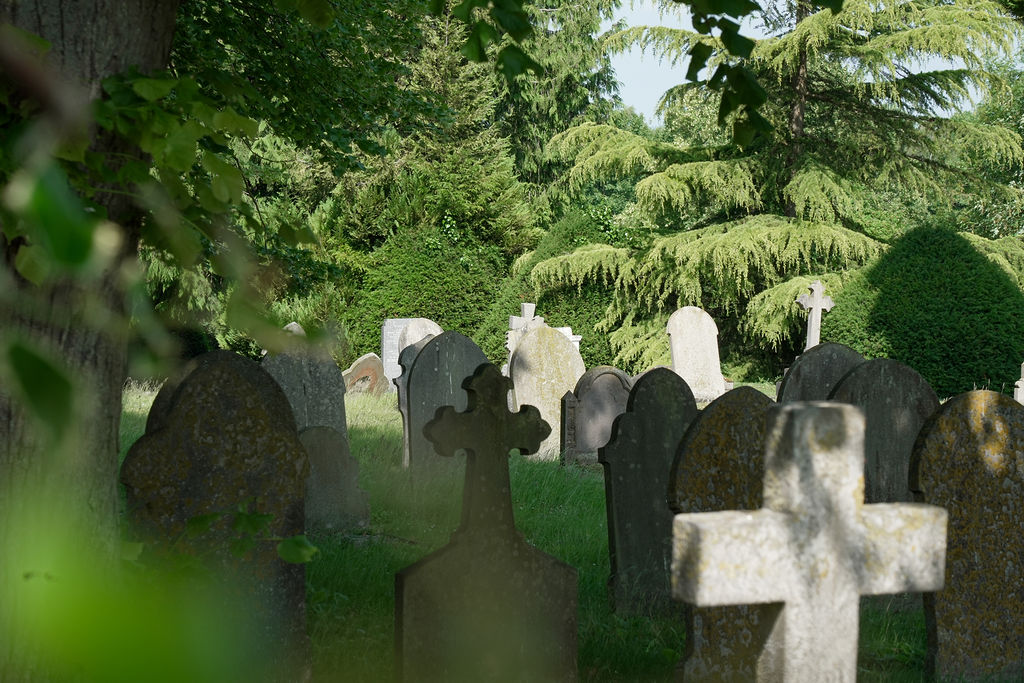 Artistic Shot 2 of grave stones with trees i nthe background