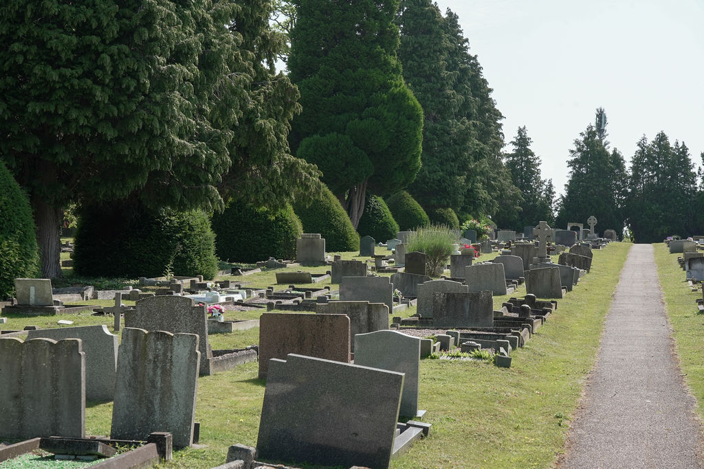 Photo of the pathway looking up to the top of the cemetery